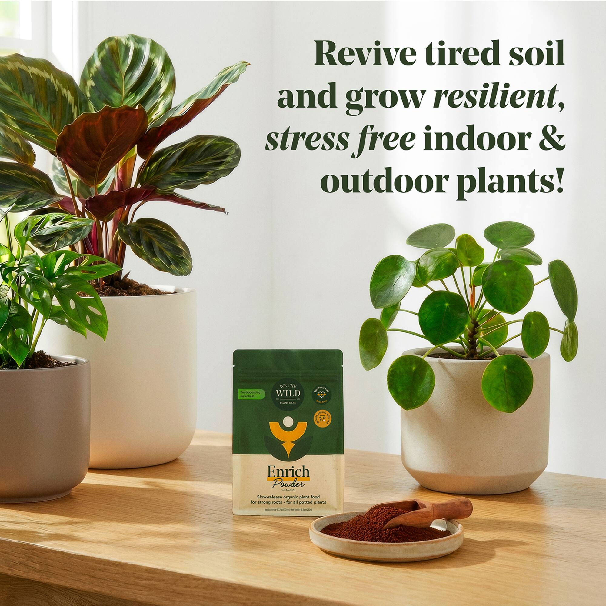 We The WIld™ 8.8oz. Enrich Powder Slow-Release Organic Soil Amendment & Plant Food for Houseplants